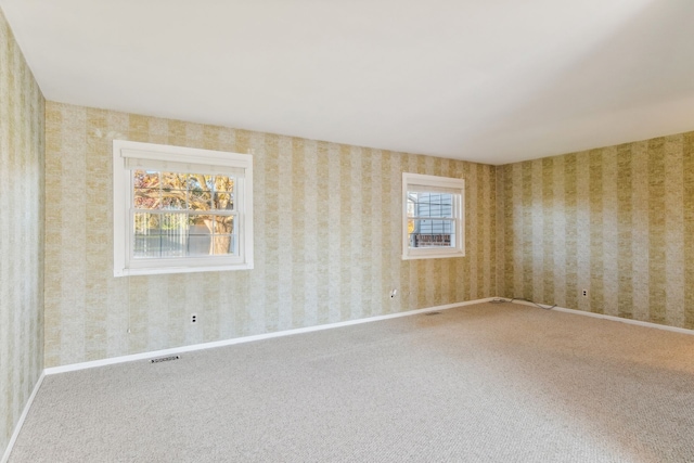 carpeted spare room with a wealth of natural light