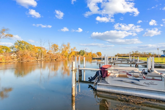 dock area featuring a water view