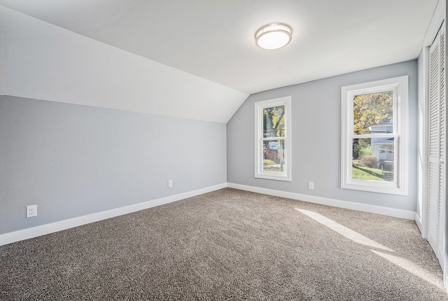 additional living space featuring carpet and vaulted ceiling