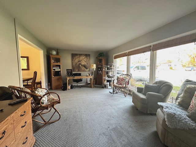 living room with carpet floors