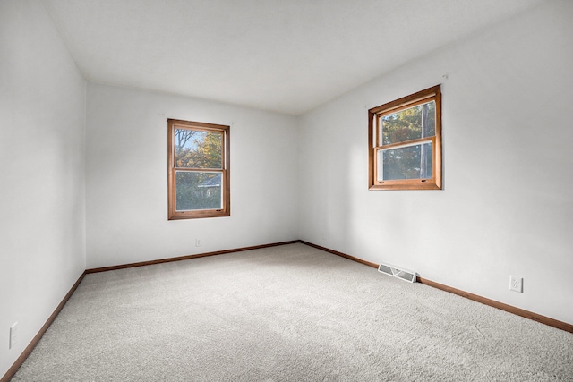 spare room featuring carpet flooring and plenty of natural light