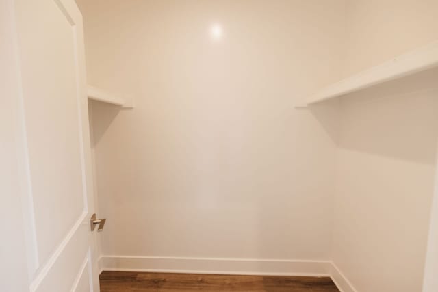 walk in closet featuring dark hardwood / wood-style floors