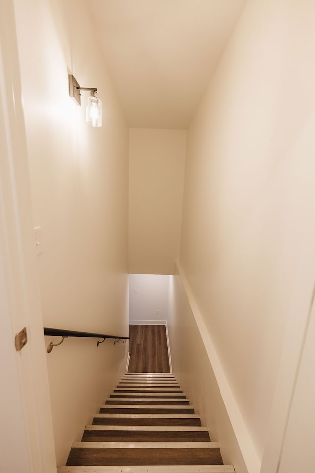 staircase with wood-type flooring