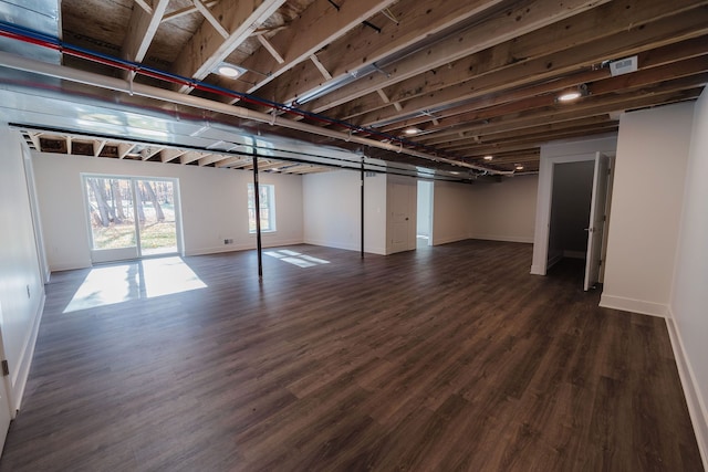 basement with dark hardwood / wood-style flooring