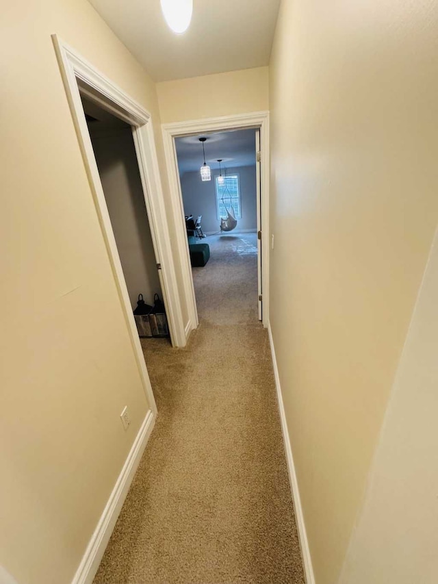 hallway with light colored carpet