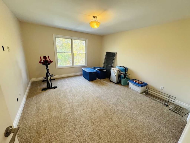 miscellaneous room with carpet floors