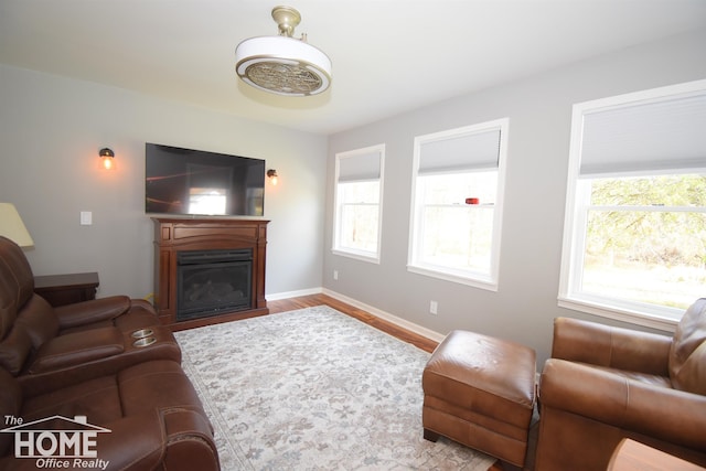 living room with a wealth of natural light and light wood-type flooring