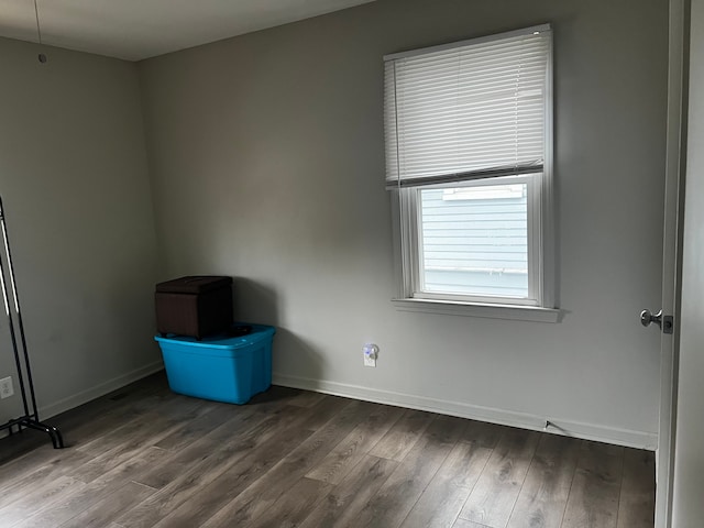 spare room with wood-type flooring