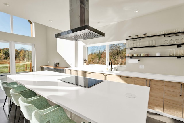 kitchen featuring a breakfast bar, sink, a kitchen island, black electric cooktop, and island range hood