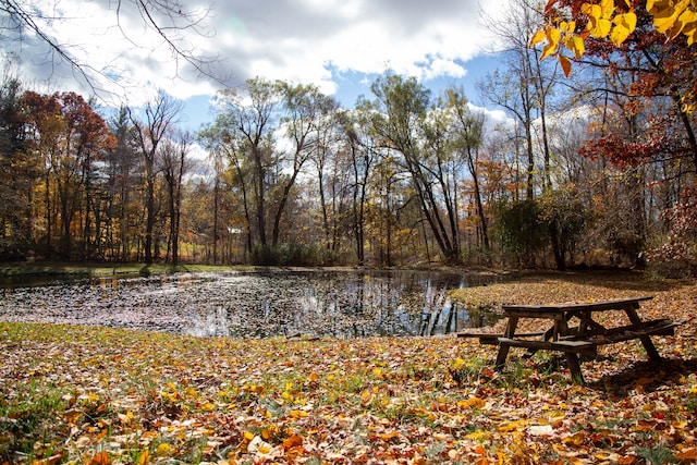 property view of water