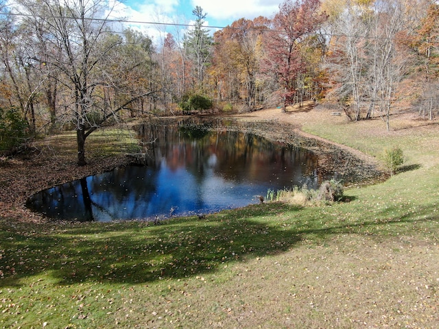 view of water feature