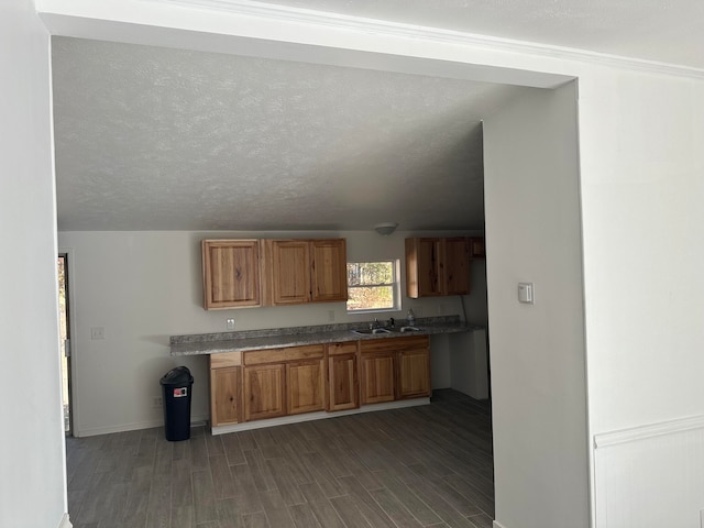 kitchen featuring a textured ceiling, lofted ceiling, dark wood-type flooring, and sink