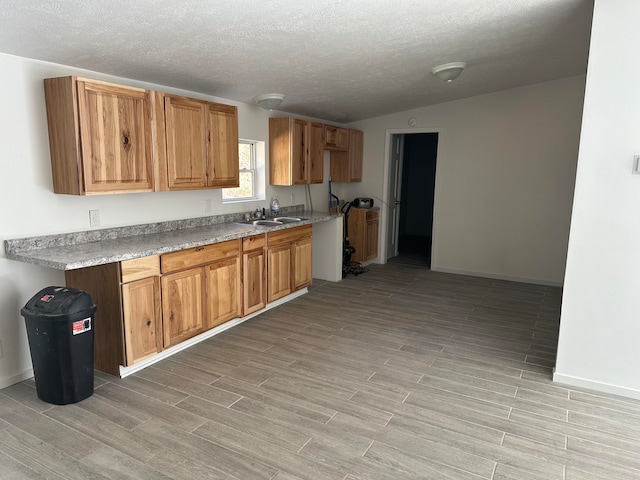 kitchen with a textured ceiling, light hardwood / wood-style flooring, and sink