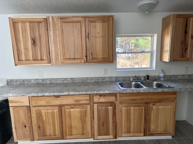 kitchen featuring sink