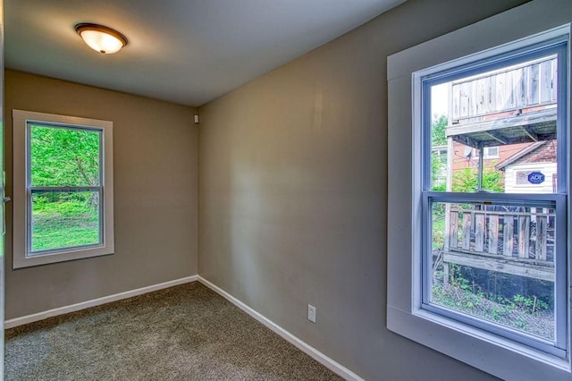 carpeted spare room with a healthy amount of sunlight