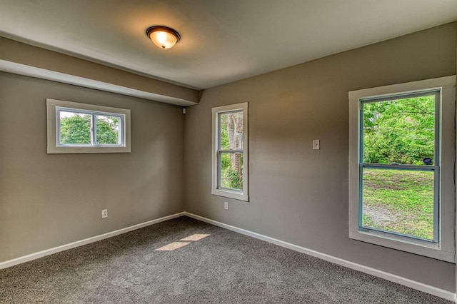 empty room featuring carpet flooring and plenty of natural light