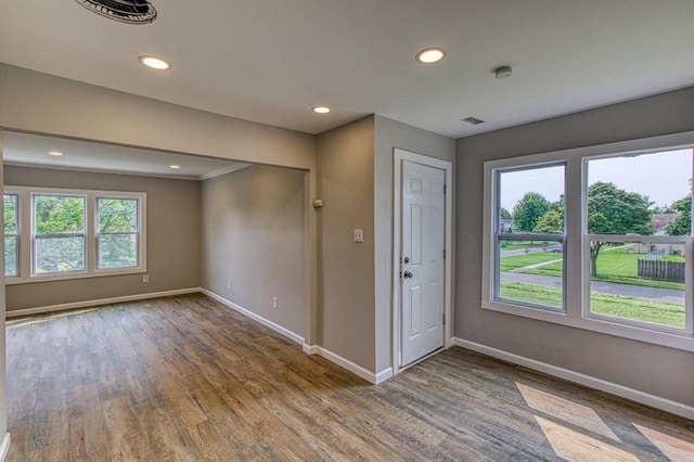 entrance foyer with wood-type flooring