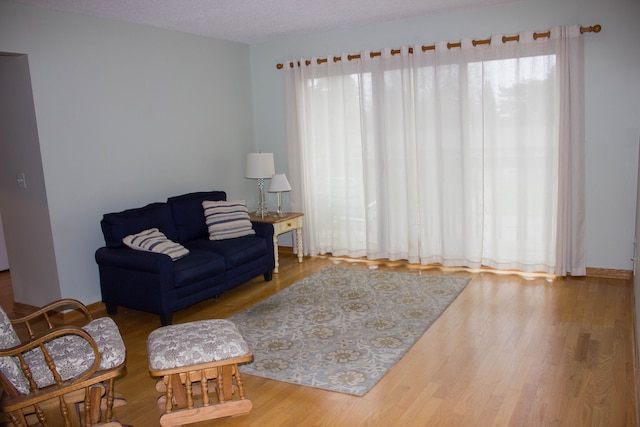 living room with hardwood / wood-style floors and a textured ceiling