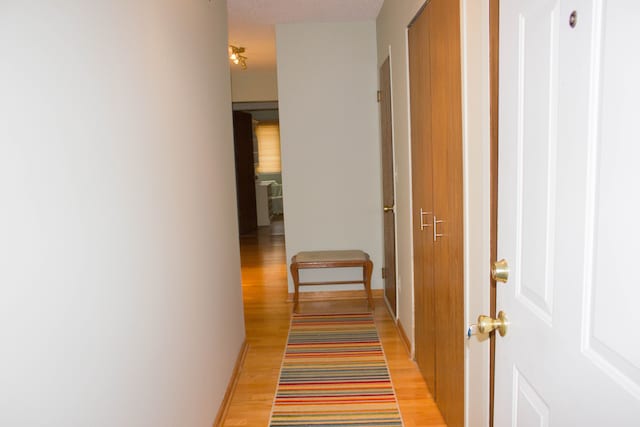 hall featuring light hardwood / wood-style floors