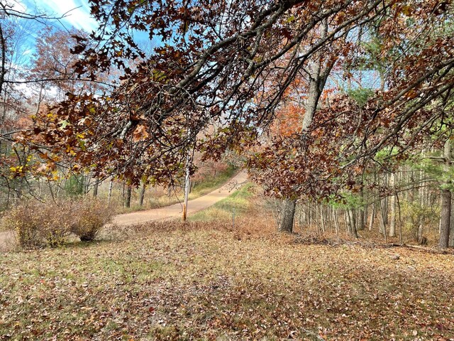 7468 W 6 1/2 Mile Rd, Irons, MI 49644 - view of yard