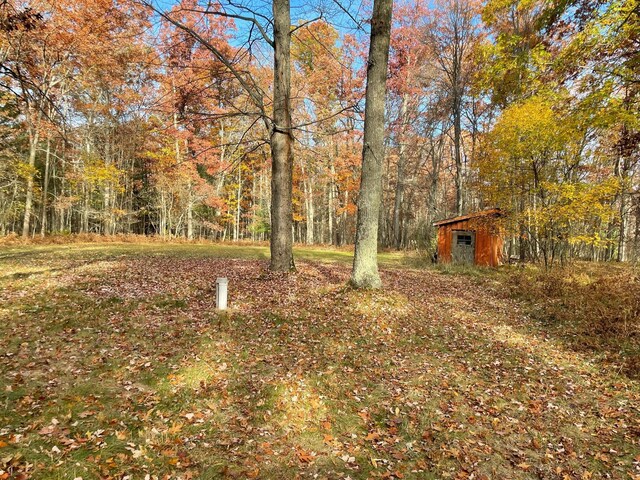 7468 W 6 1/2 Mile Rd, Irons, MI 49644 - view of yard featuring an outdoor structure and a wooded view