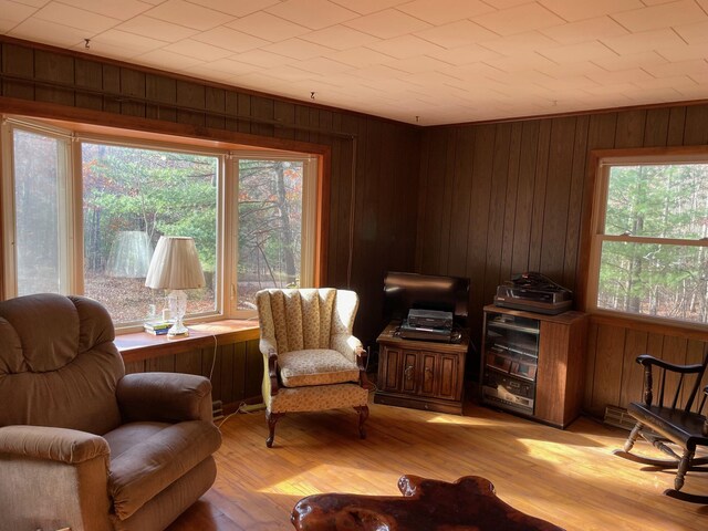 7468 W 6 1/2 Mile Rd, Irons, MI 49644 - living area with wooden walls and light wood-style floors