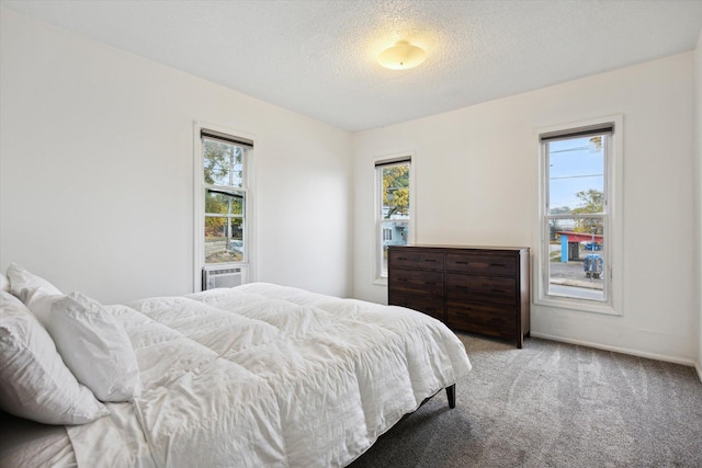 carpeted bedroom with a textured ceiling and multiple windows