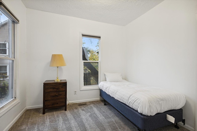 carpeted bedroom featuring multiple windows and a textured ceiling