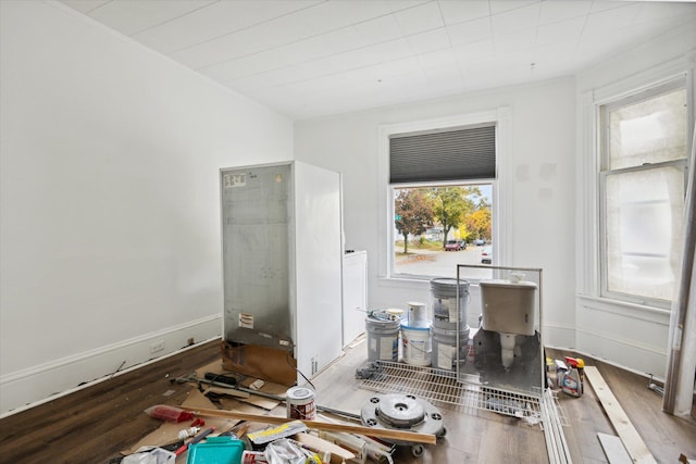 interior space featuring wood-type flooring