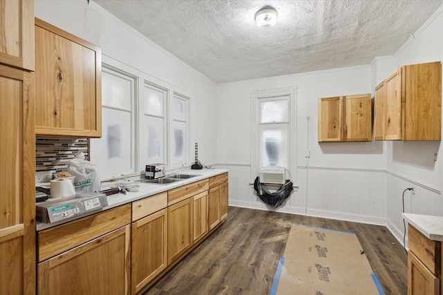 kitchen featuring a textured ceiling, dark wood-type flooring, and sink