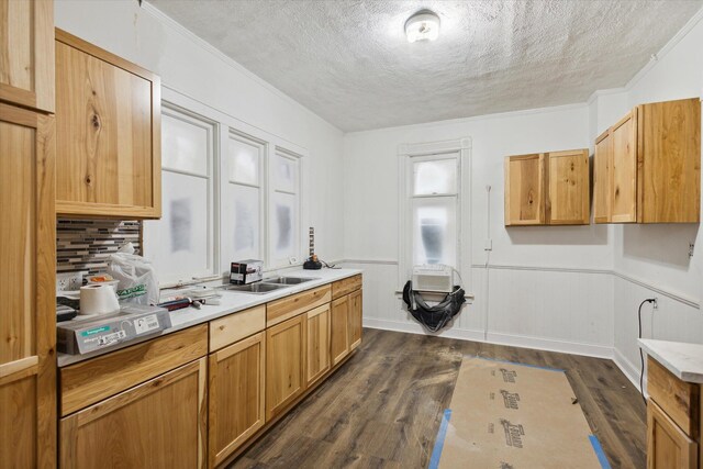 330 NE Page St, Grand Rapids, MI 49505 - kitchen featuring a sink, a textured ceiling, dark wood finished floors, decorative backsplash, and light countertops