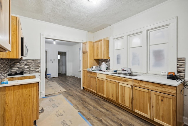 kitchen featuring sink, ornamental molding, a textured ceiling, tasteful backsplash, and wood-type flooring