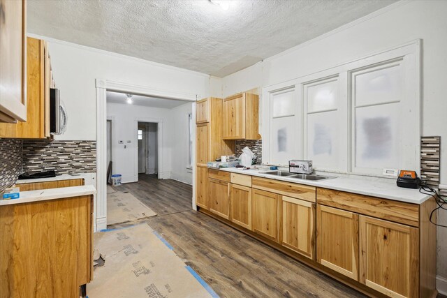 330 NE Page St, Grand Rapids, MI 49505 - kitchen with tasteful backsplash, a textured ceiling, light countertops, wood finished floors, and a sink