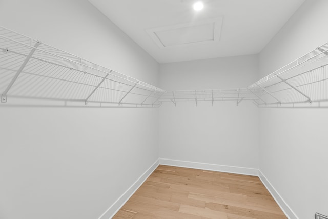 walk in closet featuring hardwood / wood-style floors