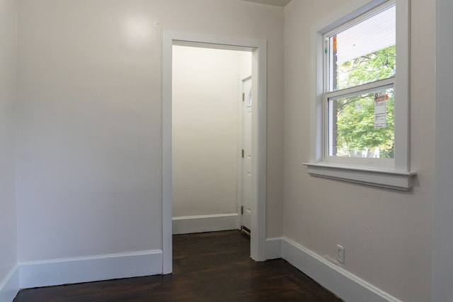 doorway to outside with dark hardwood / wood-style flooring