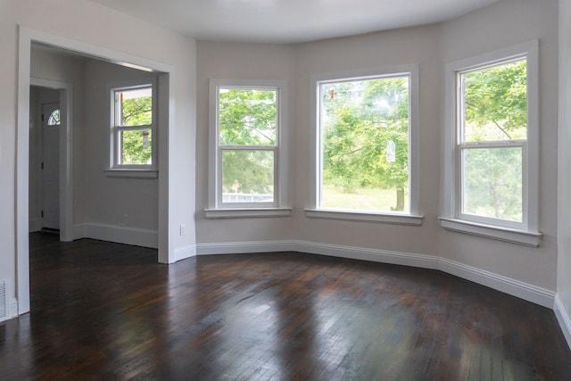 spare room featuring plenty of natural light and dark hardwood / wood-style flooring