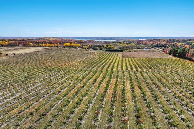 Lot4 Chippewa Trail, Rapid City, MI 49676