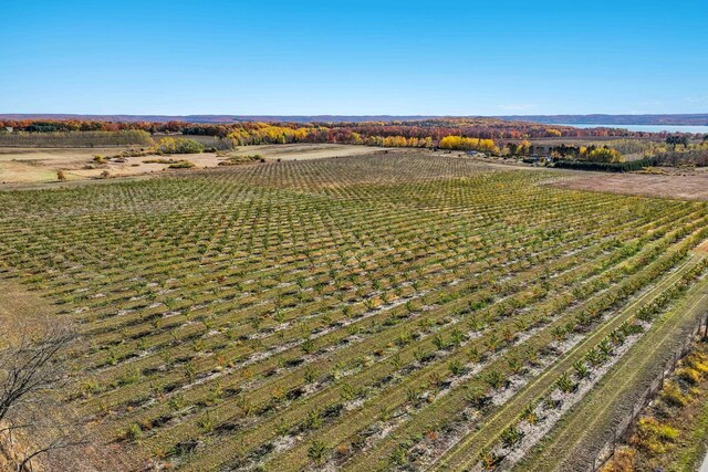 Lot4 Chippewa Trail, Rapid City, MI 49676