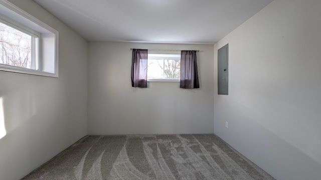 empty room featuring carpet, electric panel, and a wealth of natural light