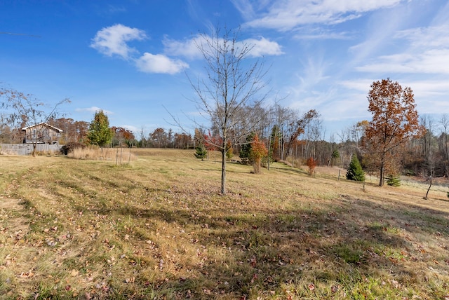 view of yard featuring a rural view