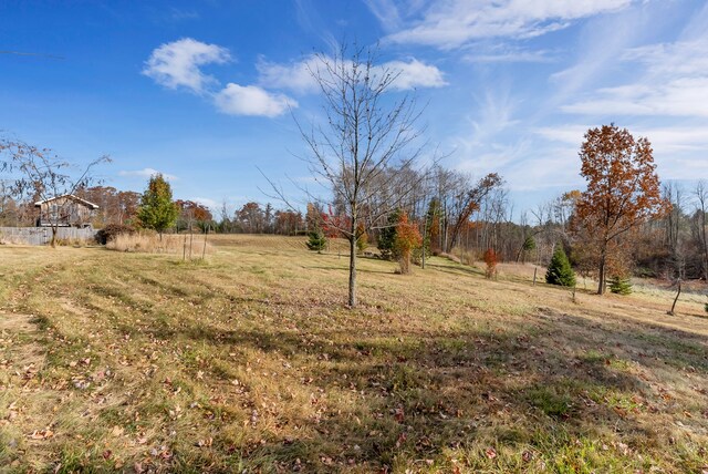 381 S Lorenz Rd, Tawas City, MI 48763 - view of yard with a view of countryside