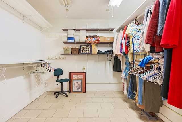 view of spacious closet