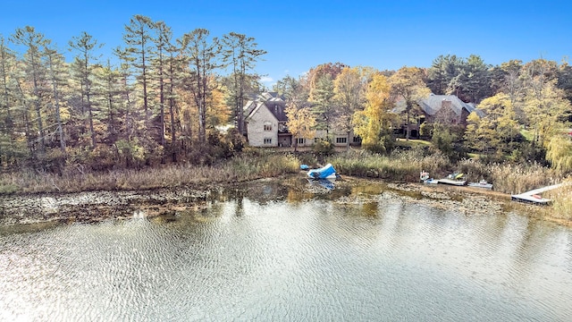 property view of water