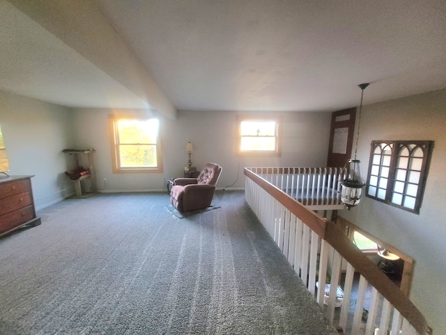 living area with carpet flooring