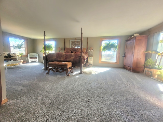 bedroom featuring carpet