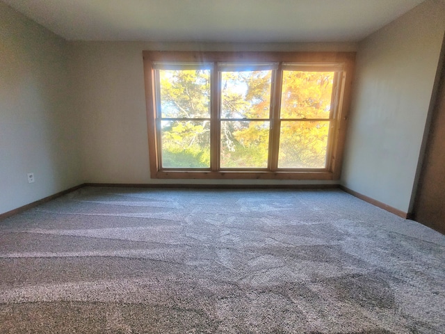 unfurnished room featuring carpet flooring