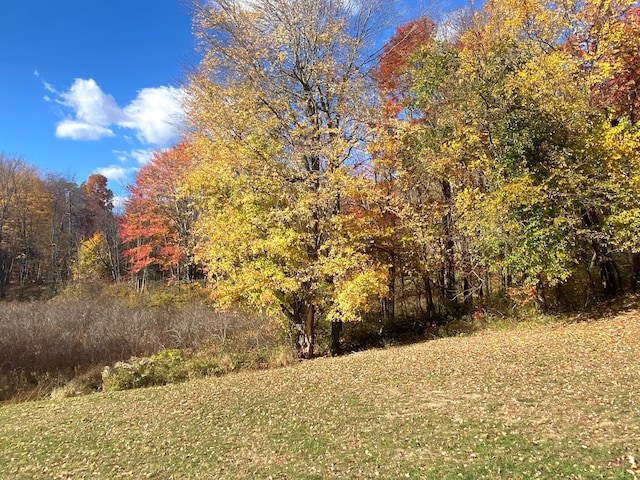 view of landscape