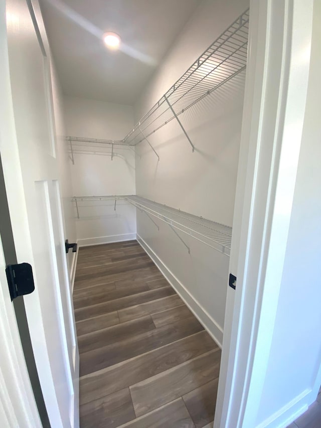 walk in closet featuring dark hardwood / wood-style flooring