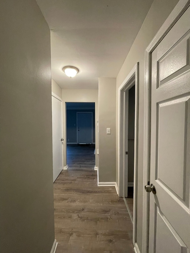 corridor featuring dark wood-type flooring