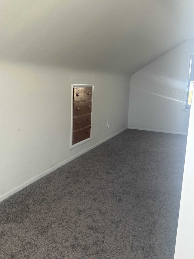 additional living space featuring dark colored carpet